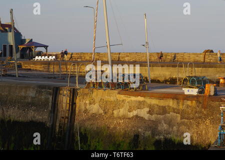 Hummer Töpfen bei St Monans Hafen an einem sonnigen Sommerabend, Fife, Schottland, Großbritannien. Stockfoto