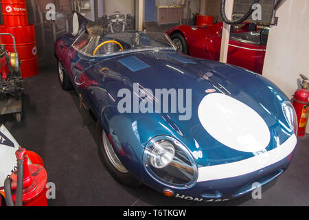 1954 Jaguar D-Type, British sports racing Auto Jaguar Cars Ltd. in der Autoworld, Classic Car Museum in Brüssel, Belgien Stockfoto