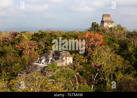 Tikal Guatemala, Blick auf den Tempel VI von der Oberseite des Mundo Perdido Pyramide, Tikal Nationalpark, Tikal, Guatemala Mittelamerika Stockfoto