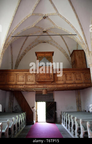 Kirche St. Magdalena in Moos Stockfoto