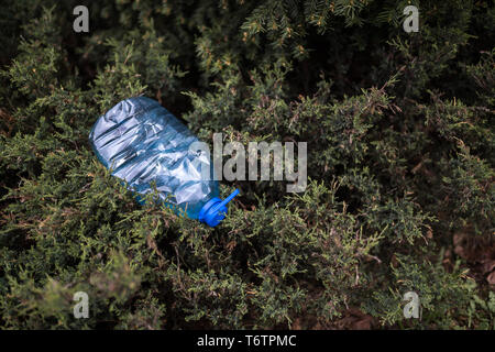 Blue big Kunststoff Flasche auf dem Boden liegend in Baum in einem Park Wald geworfen, die nicht recycelt - Abfall und Verschmutzung der Stadt und Natur - Verfallen Stockfoto