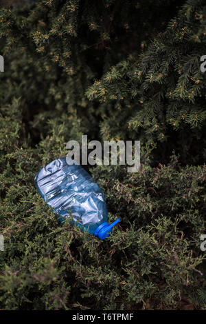 Blue big Kunststoff Flasche auf dem Boden liegend in Baum in einem Park Wald geworfen, die nicht recycelt - Abfall und Verschmutzung der Stadt und Natur - Verfallen Stockfoto