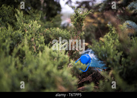 Blue big Kunststoff Flasche auf dem Boden liegend in Baum in einem Park Wald geworfen, die nicht recycelt - Abfall und Verschmutzung der Stadt und Natur - Verfallen Stockfoto