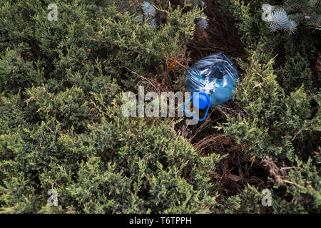 Blue big Kunststoff Flasche auf dem Boden liegend in Baum in einem Park Wald geworfen, die nicht recycelt - Abfall und Verschmutzung der Stadt und Natur - Verfallen Stockfoto