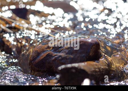 Sauberer Fluss fließt das Wasser über die Steine und umhüllt Sie. Die hellen Sonnenstrahlen sind in das fließende Wasser und verraten seine Brillanz wider. Stockfoto