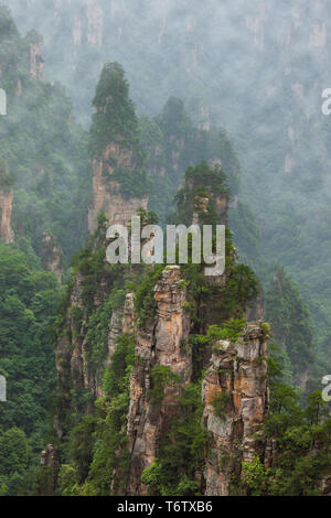 Tianzi Avatar Berge Natur Park - Landschaftspark Wulingyuan gelegen China Stockfoto