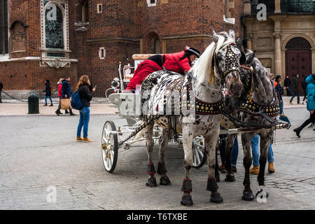 Krakau, Polen - 09. März 2019: Paar gefleckte Pferde im Kabelbaum. Gefleckte Appaloosa Pferd mit Schlitten fahren auf Strasse der Stadt und nur wenige Touristen Stockfoto