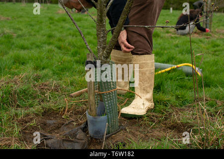 Unsere Marsh ist eine neue Community Projekt alle über das Genießen und die Verbesserung der Flüsse und Bäche der Stour Valley. Das Projekt wird einen echten Nutzen bringen. Stockfoto