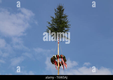 Ein traditionelles Maibaum mit bunten Bändern auf blauem Hintergrund. Stockfoto