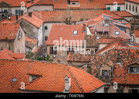 Rote Ziegeldächer von Kotor Alte Stadthäuser Stockfoto