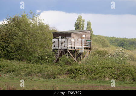 Erhöhte Vogel Ausblenden in Naturschutzgebiet Attenborough Seen und Fluss Trent. Nottingham England Stockfoto