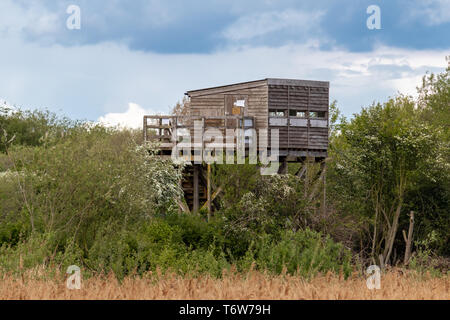 Erhöhte Vogel Ausblenden in Naturschutzgebiet Attenborough Seen und Fluss Trent. Nottingham England Stockfoto