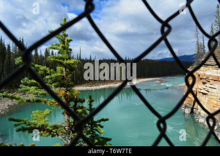 Athabasca Falls Stockfoto