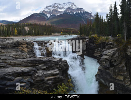 Athabasca Falls Stockfoto