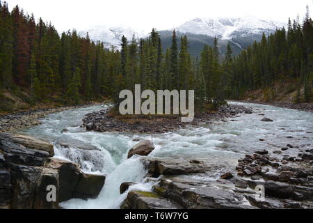 Sunwapta Falls Stockfoto