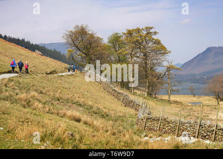 Buttermere Cumbria GROSSBRITANNIEN Stockfoto