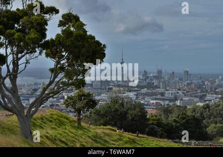 Bäume und Natur auf dem Mount Eden, Auckland, Neuseeland Stockfoto