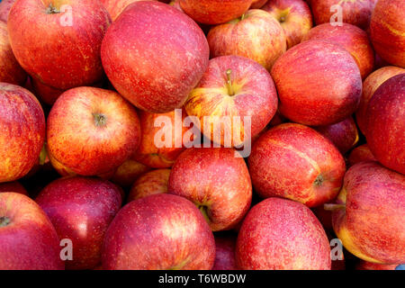 Red Gala Äpfel auf dem Markt Stockfoto