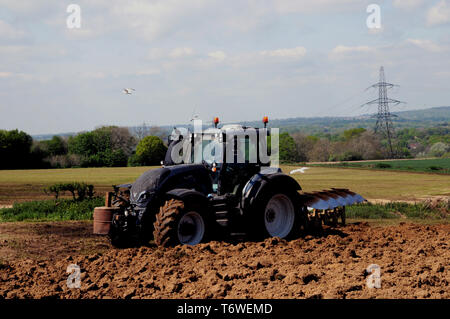 Ein Traktor pflügen ein großes Feld in der Nähe von Cowbeech, einem Dorf in der Grafschaft East Sussex Landschaft. Der Boden liefert Nahrungsmittel für folgende Möwen. Stockfoto