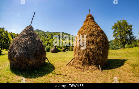 Heuballen auf einem Feld in den Karpaten in Rumänien, an einem sonnigen Sommertag Stockfoto