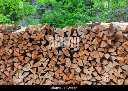 Stapel von gehackten Brennholz im Wald Stockfoto