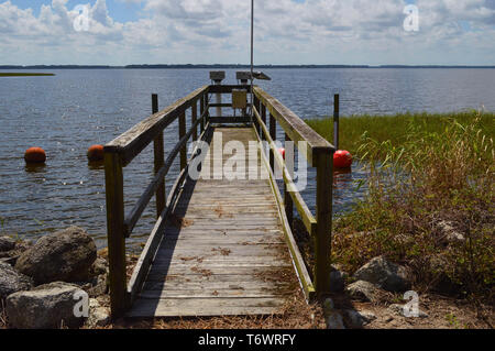 Holzterrasse Gehweg Plattform für Wasser Management Monitoring Station mit Telemetriegeräten Struktur Zugang am Lake Harris Florida Feuchtgebiet Pflanzen Stockfoto