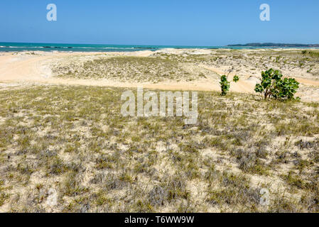 Der Strand von Barra de Cunhau in der Nähe von Pipa auf Brasilien Stockfoto