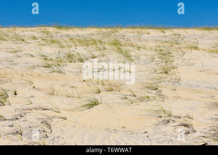 Der Strand von Barra de Cunhau in der Nähe von Pipa auf Brasilien Stockfoto