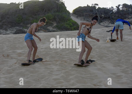 Pipa, Brasilien - 23. Januar 2019: Touristen Sandboarding auf einer Düne in der Nähe von Pipa auf Brasilien Stockfoto