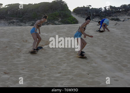 Pipa, Brasilien - 23. Januar 2019: Touristen Sandboarding auf einer Düne in der Nähe von Pipa auf Brasilien Stockfoto