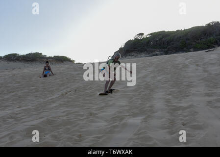 Pipa, Brasilien - 23. Januar 2019: Touristen Sandboarding auf einer Düne in der Nähe von Pipa auf Brasilien Stockfoto