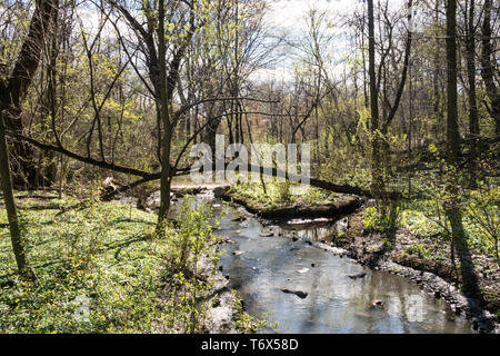 Die North Woods sind in der nordwestlichen Ecke des Central Park, NYC, USA Stockfoto