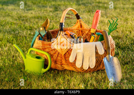 Gartengeräte im Korb und Gießkanne auf Gras Stockfoto