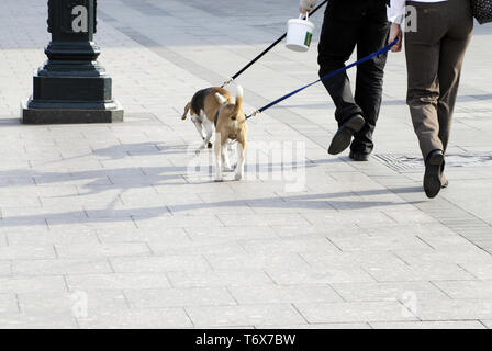 Beine von zwei Person ihrer ähnlichen Hunde an der Leine in der Stadt. Stockfoto