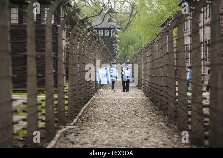 Oswiecim, Malopolska, Polen. Zum 2. Mai, 2019. Die Teilnehmer an der Marsch der Lebenden zwischen Stacheldraht Wände des KZ Auschwitz in Oswiecim, Polen. Credit: Celestino Arce Lavin/ZUMA Draht/Alamy leben Nachrichten Stockfoto