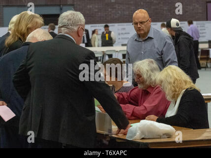 Brentwood Essex zum 2. Mai 2019 Stimmzettel von Partei zählen Agenten UK Kommunalwahlen 2019 Credit: Ian Davidson/Alamy Leben Nachrichten gezählt beobachtete abeing Stockfoto