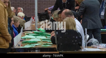 Brentwood Essex zum 2. Mai 2019 Stimmzettel an der lokalen Wahl de Kommunalwahlen 2019 Credit gezählt werden: Ian Davidson/Alamy leben Nachrichten Stockfoto