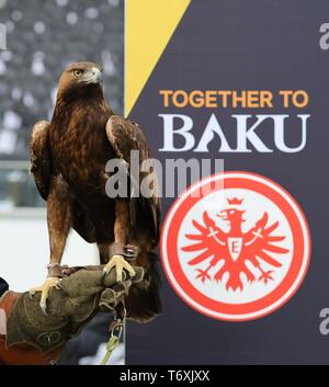 Frankfurt, Deutschland. 02 Mai, 2019. firo: 02.05.2019, Fußball, Fußball: UEFA Europa League, EL, Saison 2018/2019 Halbfinale, Hinspiel, Eintracht Frankfurt - Chelsea 1:1, Maskottchen Attila, der Adler | Verwendung der weltweiten Kredit: dpa/Alamy leben Nachrichten Stockfoto