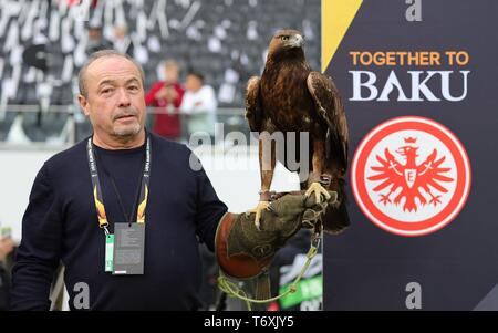 Frankfurt, Deutschland. 02 Mai, 2019. firo: 02.05.2019, Fußball, Fußball: UEFA Europa League, EL, Saison 2018/2019 Halbfinale, Hinspiel, Eintracht Frankfurt - Chelsea 1:1, Maskottchen Attila, der Adler mit seinem Trainer und Inhaber Norbert Lawitschka | Verwendung der weltweiten Kredit: dpa/Alamy leben Nachrichten Stockfoto