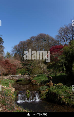 Lukesland ist eine 24 Hektar große familiengeführte Garten in Dartmoor National Park, am Rande des Ivybridge, in der South Hams, Devon. In der malerischen Tal Stockfoto