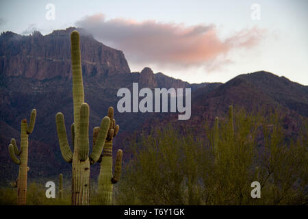 Die Superstition Mountains von Arizona im Morgenlicht mit Saguaro Kaktus und Wolken. Stockfoto