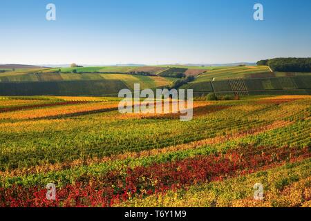 Weinberge am Kreuzberg im Herbst, buntes Laub, blauer Himmel, in der Nähe von Volkach, Unterfranken, Mittelfranken, Franken, Bayern, Deutschland Stockfoto