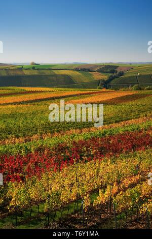 Weinberge am Kreuzberg im Herbst, buntes Laub, blauer Himmel, in der Nähe von Volkach, Unterfranken, Mittelfranken, Franken, Bayern, Deutschland Stockfoto