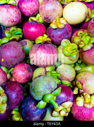 In Kunststoff Warenkorb Mangosteen vorbereiten zu transportieren Stockfoto