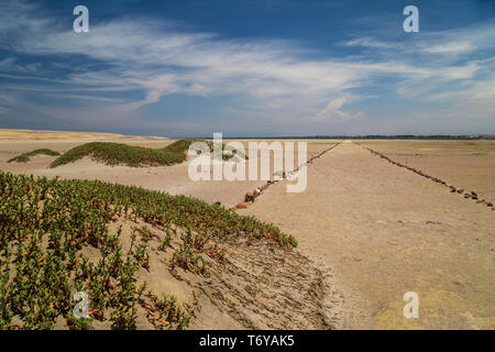 Atacama Wüste im Nationalpark von Paracas, Peru Stockfoto