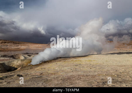 Dampf aus einem Geysir, Altiplano, Bolivien Stockfoto