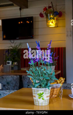 Die Dekoration mit Blumen im Cafe. Stockfoto