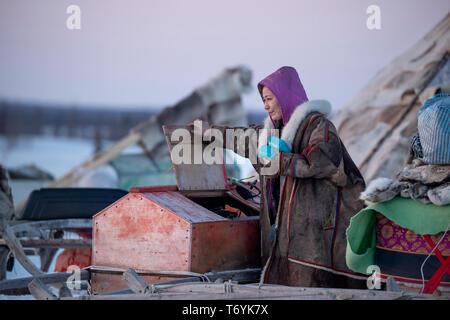 Russland, der Jamal-nenzen Autonome Region, Halbinsel Yamal, nenzen Rentier Hirten am Lager Stockfoto