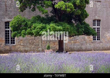 Abtei Fontfroide, Narbonne, Frankreich Stockfoto