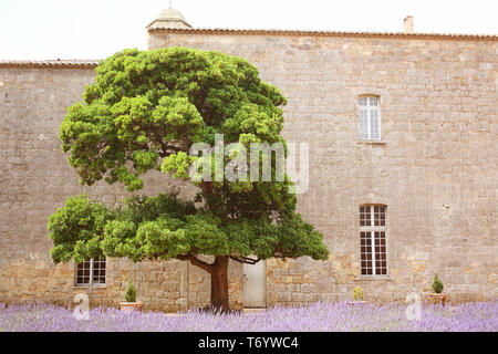 Abtei Fontfroide Narbonne. Frankreich Stockfoto